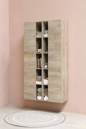 Wall Shelf Unit